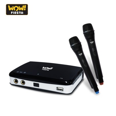 WOW! Fiesta Melody 10 Wireless WF290HD NEW and Affordable Wireless Videoke with MORE songs